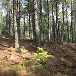 Minivilla 